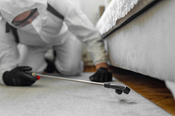 Professional Bed Bug Control technician working in Lewis County County, WV